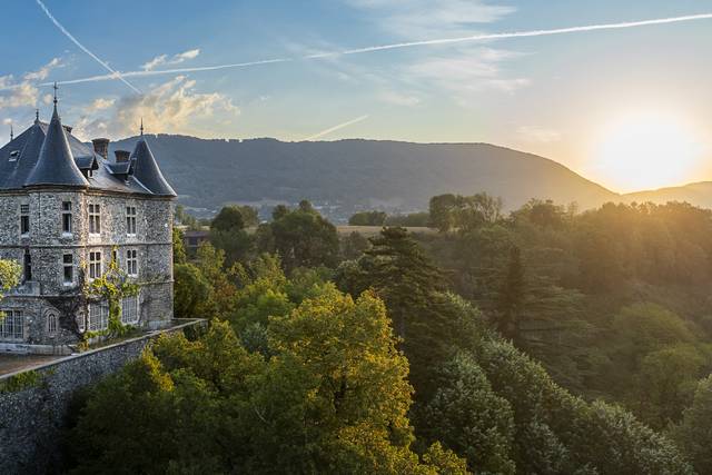 Photo aérienne du château 6