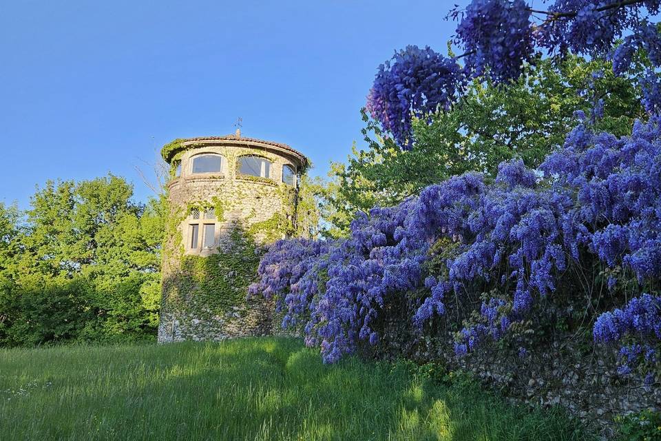 Glycine
