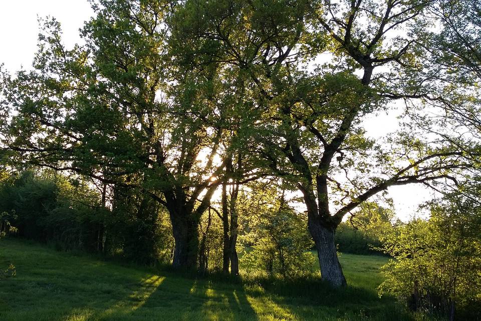 Domaine de La Barre