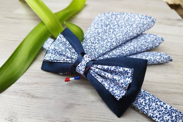 Nœud papillon Aubrac