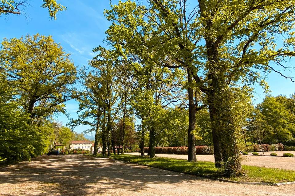 Le Domaine des Tuileries