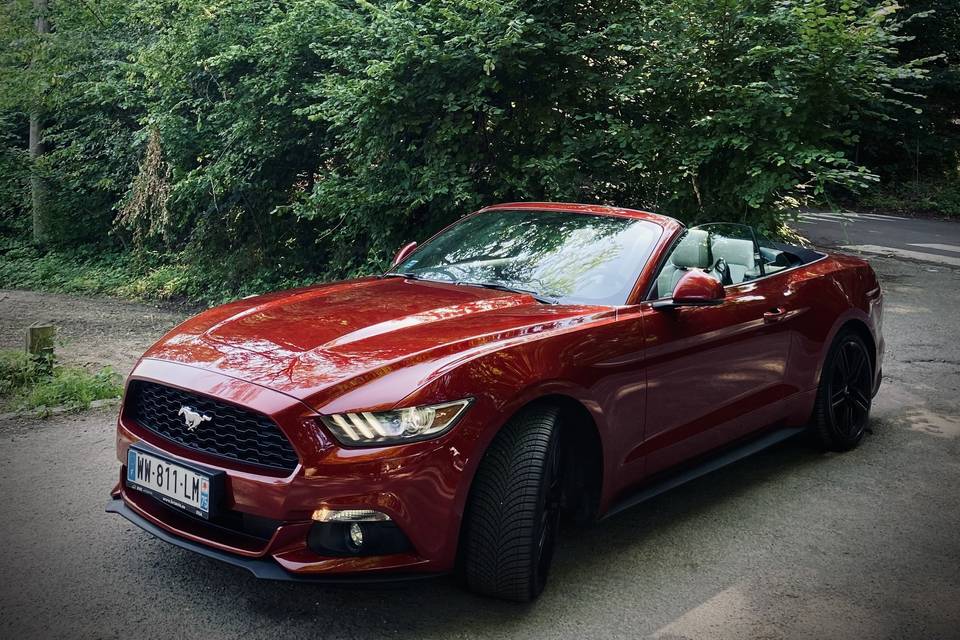 Mustang Cherif Philippe