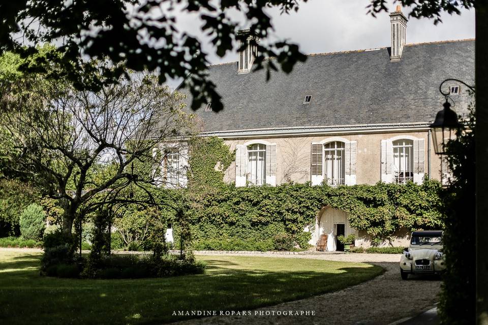 Château + pelouse ronde