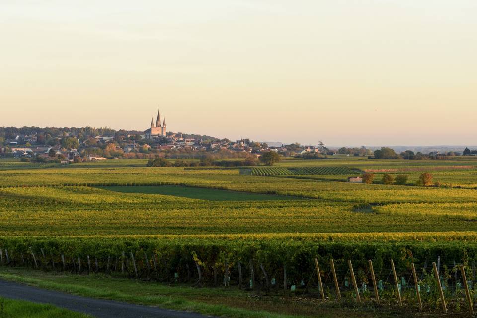 Domaine du Vieux Pressoir