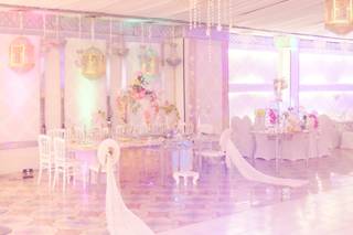 Salon Organza