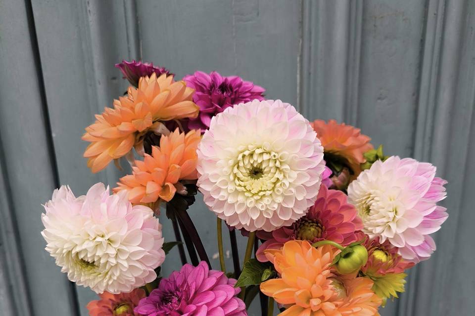 Bouquet dahlias