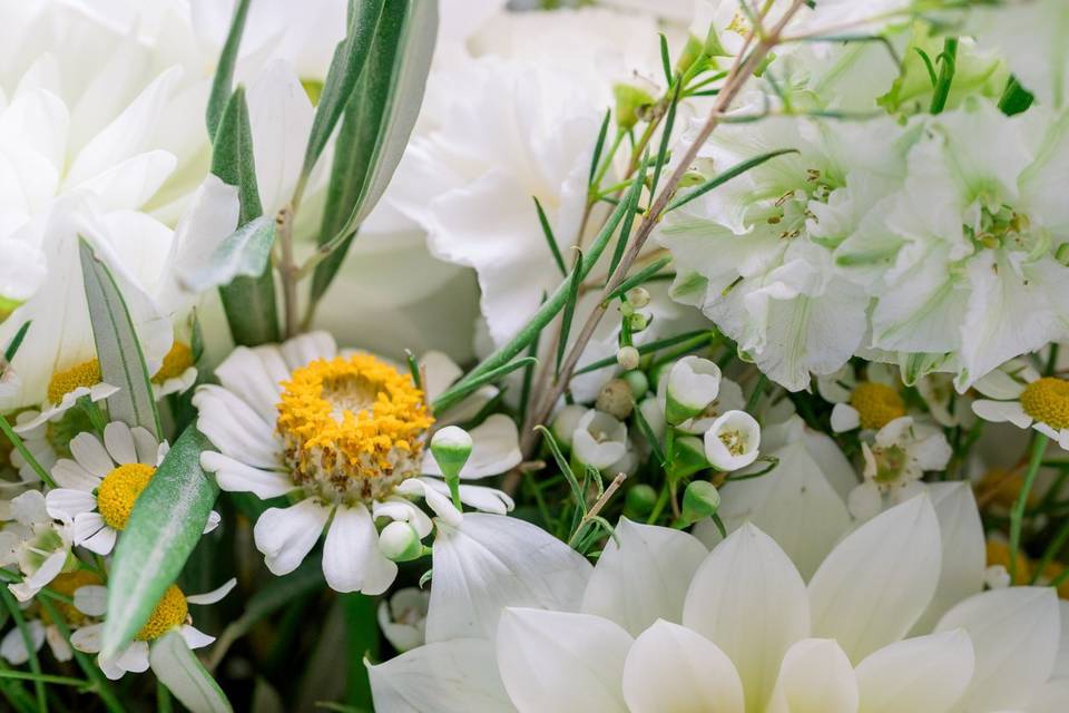 Fleurs blanches