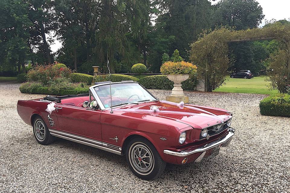 Mon mariage en mustang