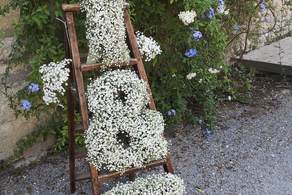 Initiales gypsophile