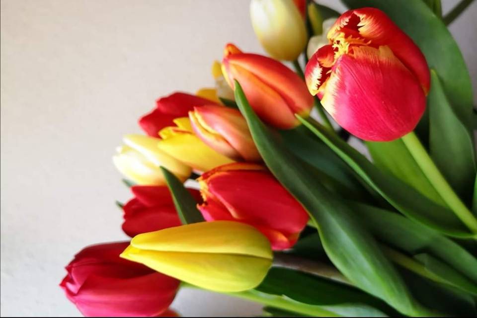 Fleurs du Boutonnet