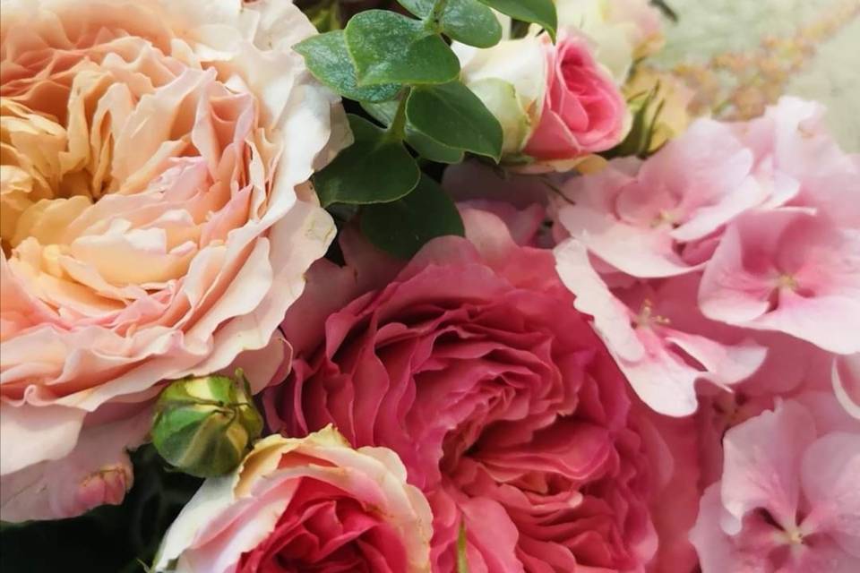 Bouquet roses Austen