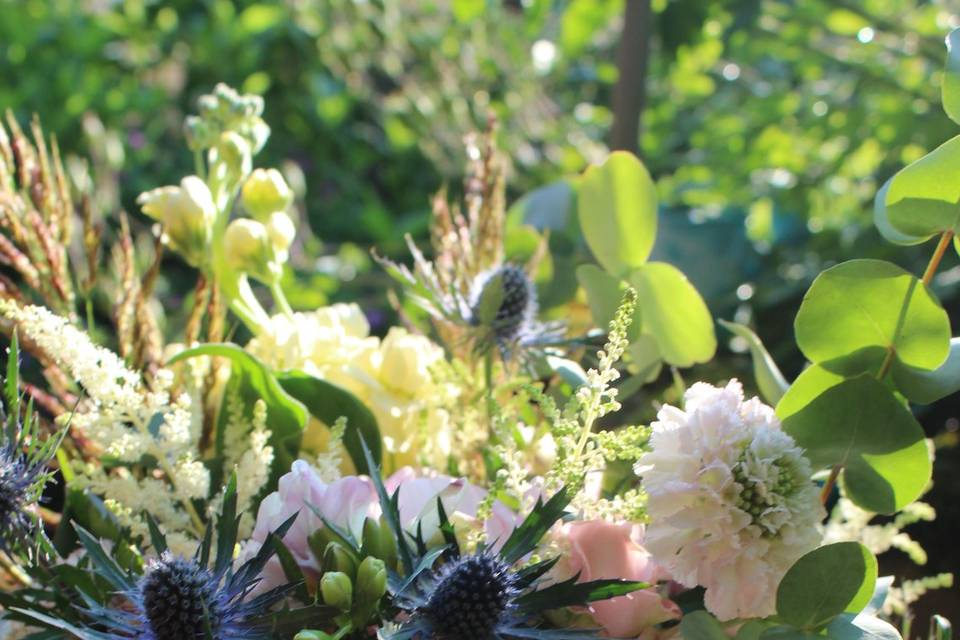 Les belles pivoines Drômoises