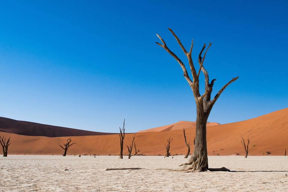 Désert du Namib - Namibie