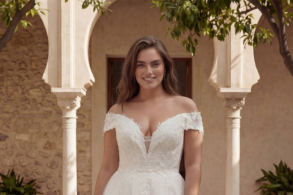 CIANA Collection 2027