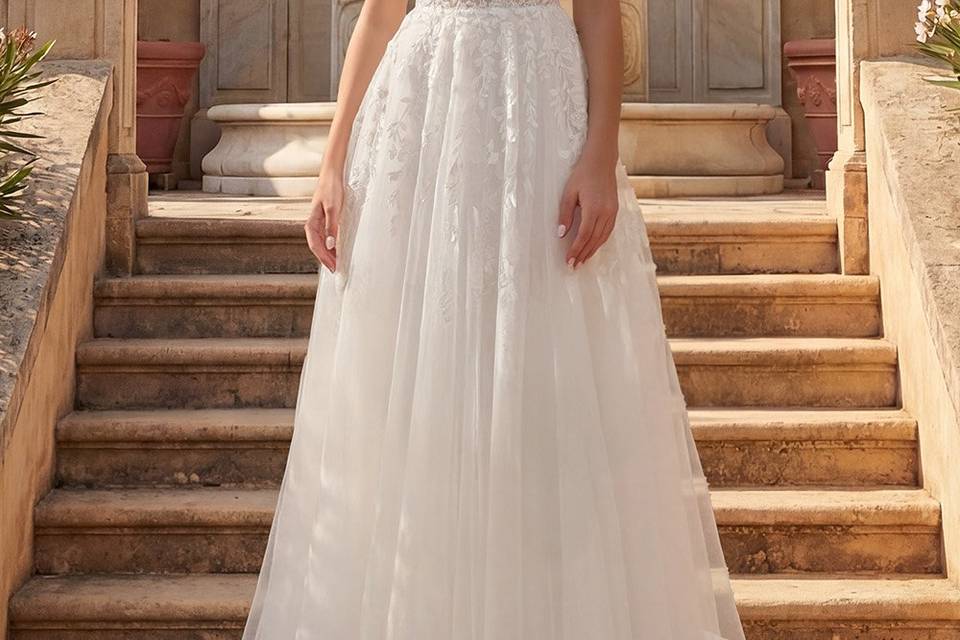 DORELLE Collection 2027