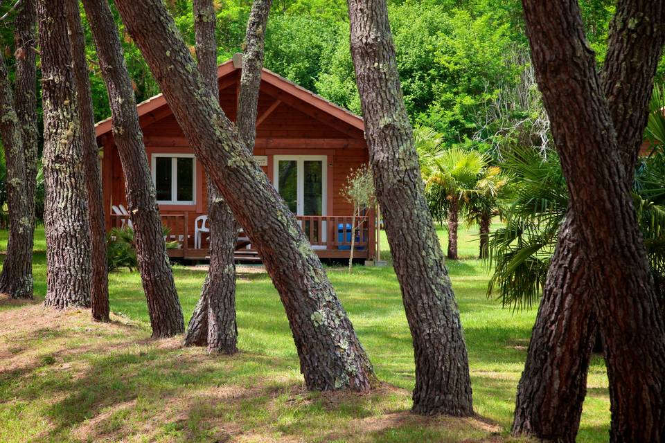 Un chalet bien ombragé