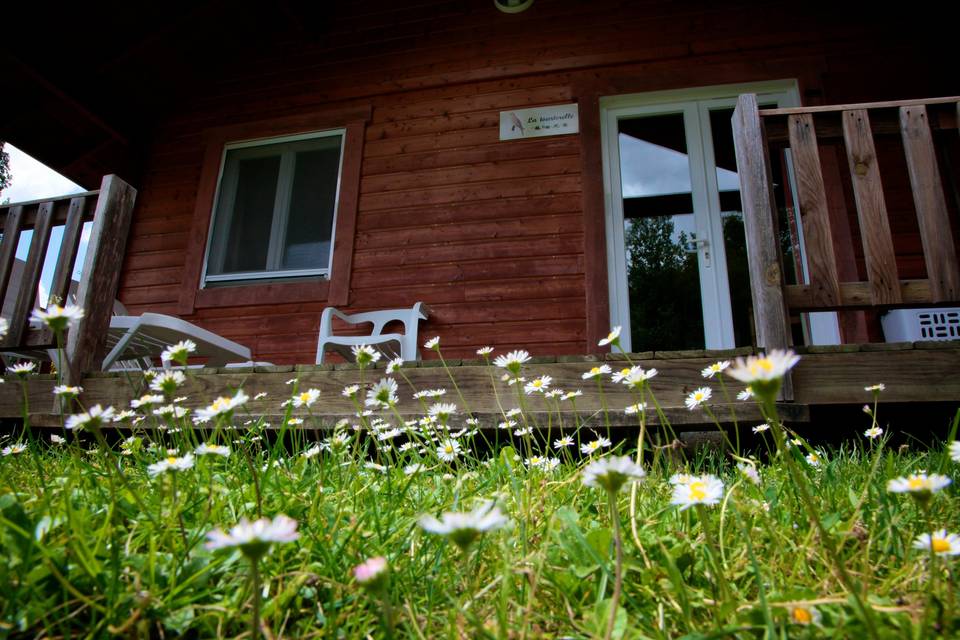 Chalet en pleine nature