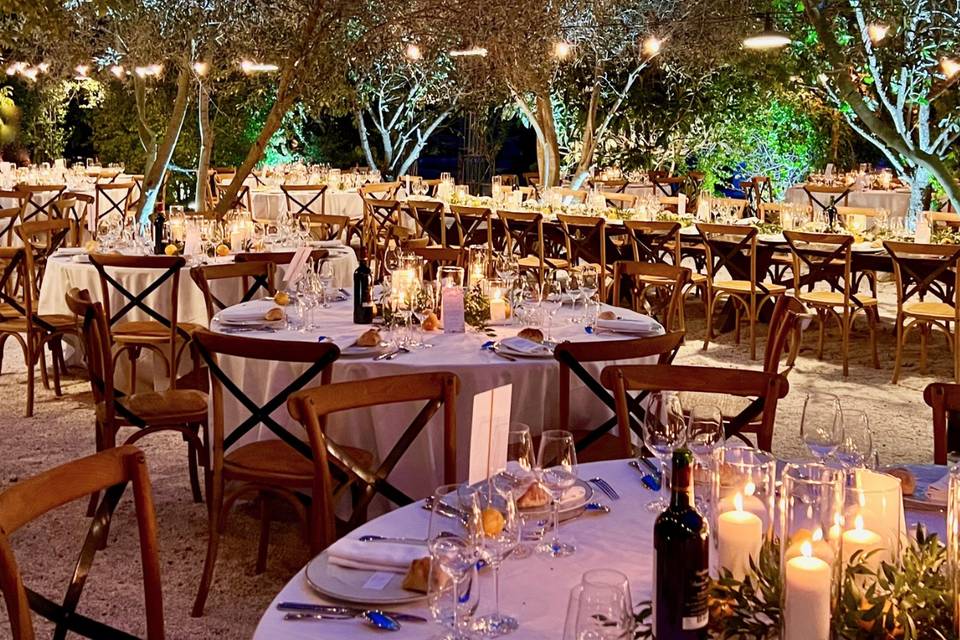 Dîner sous les oliviers