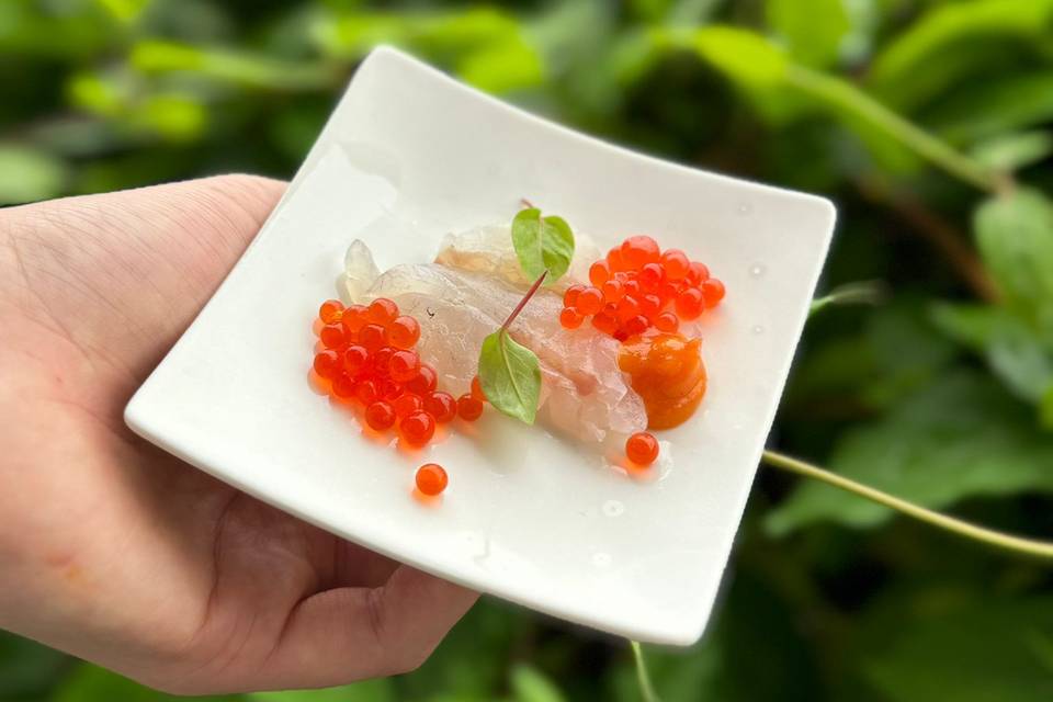 Carpaccio de Daurade Royale