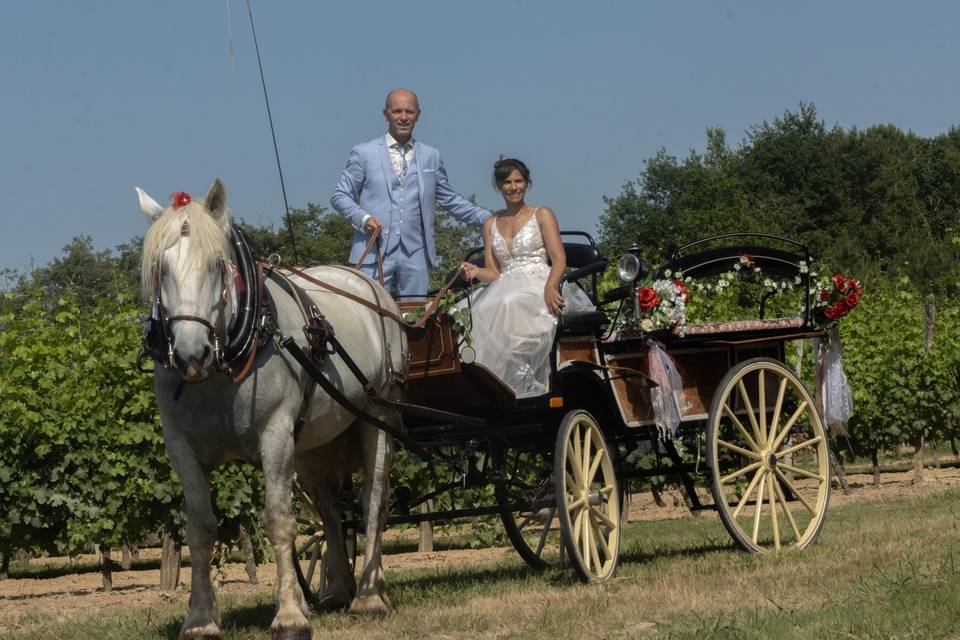 Mariage d'élise et didier