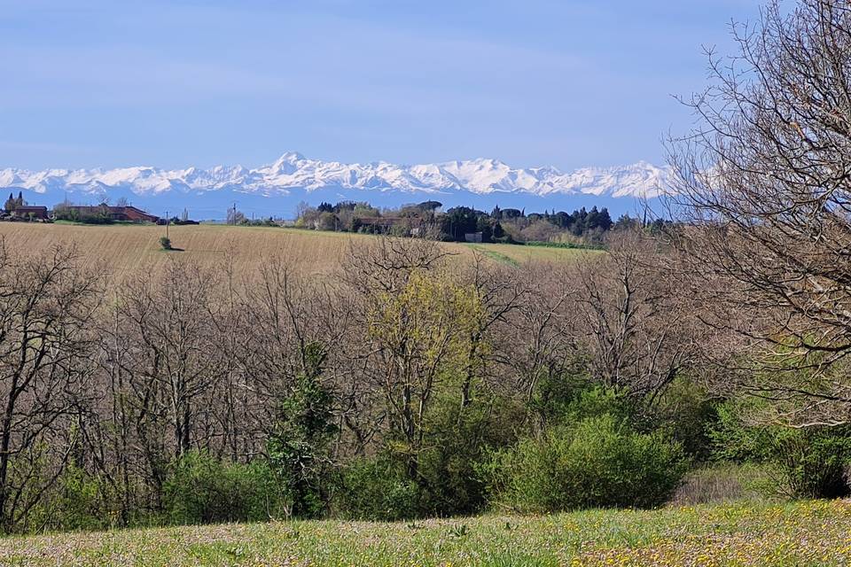 Vue sur la chaîne des Pyrénées