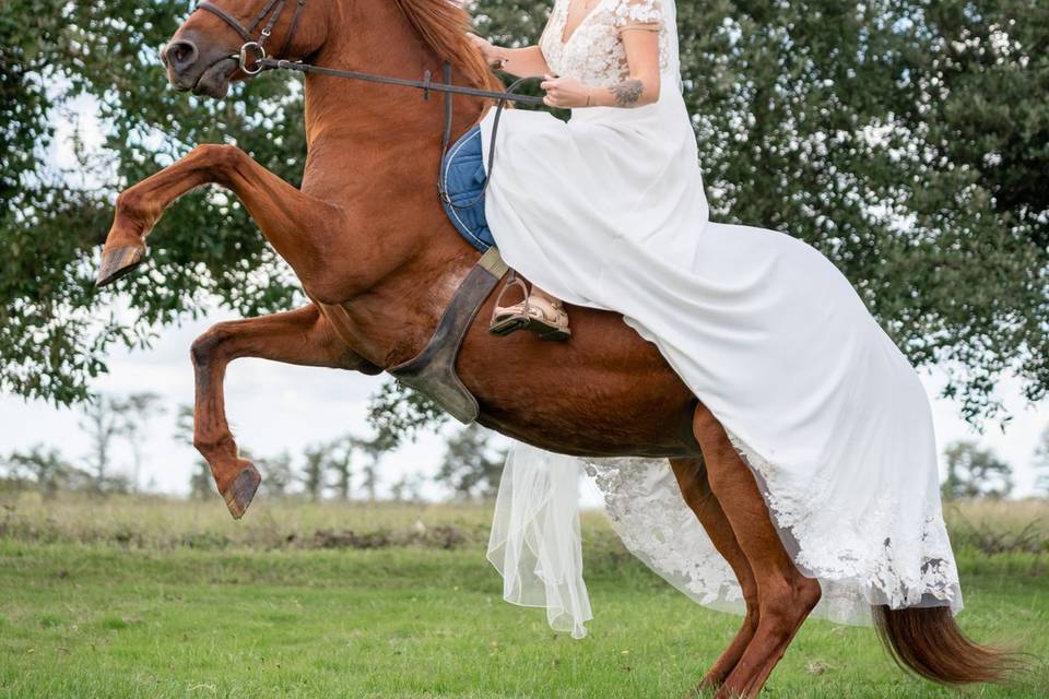 La Mariée et sa jument