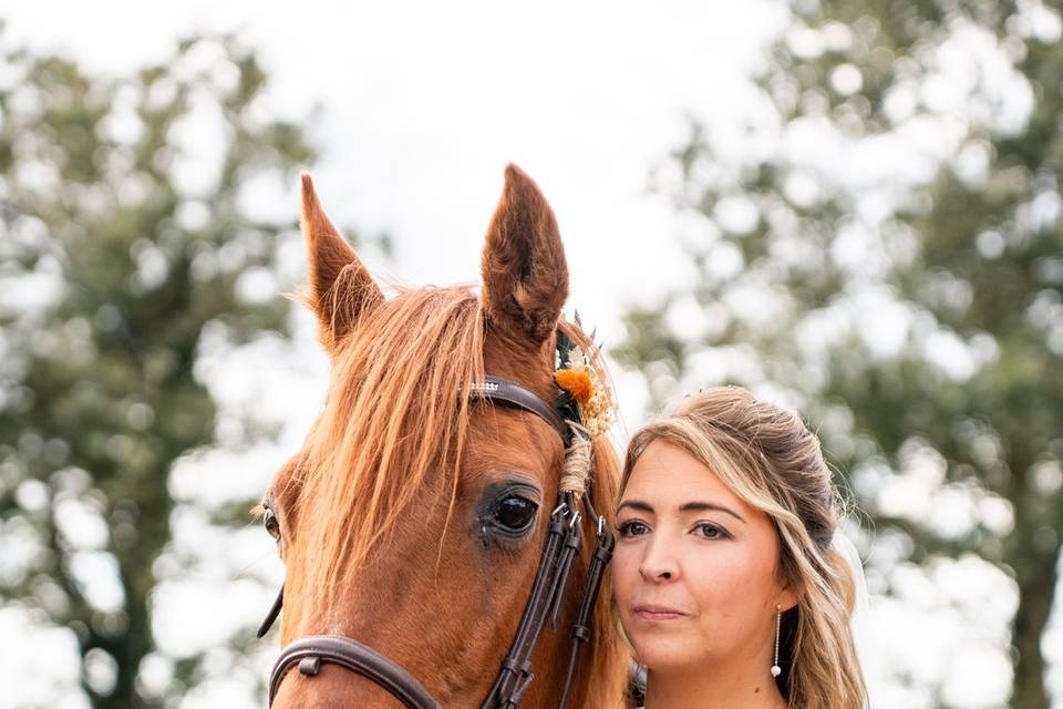 La Mariée et sa jument