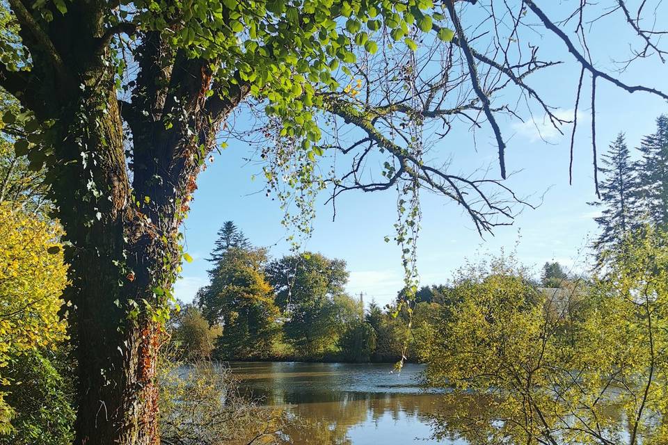 Domaine de la Ferrière
