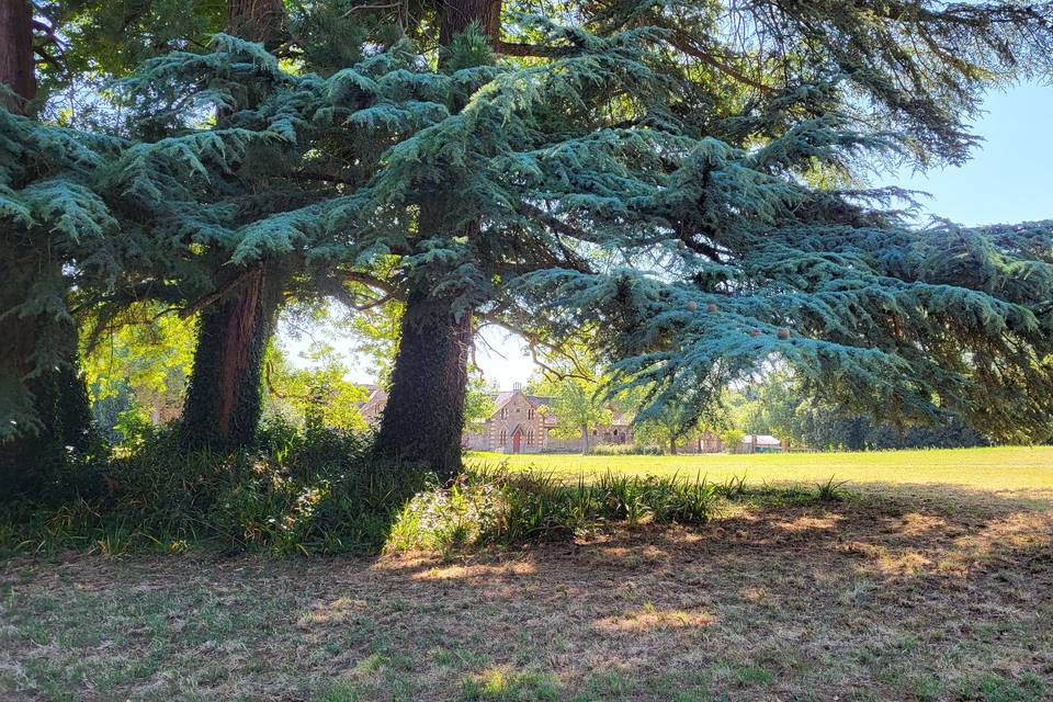 Parc du Château de St Thomas