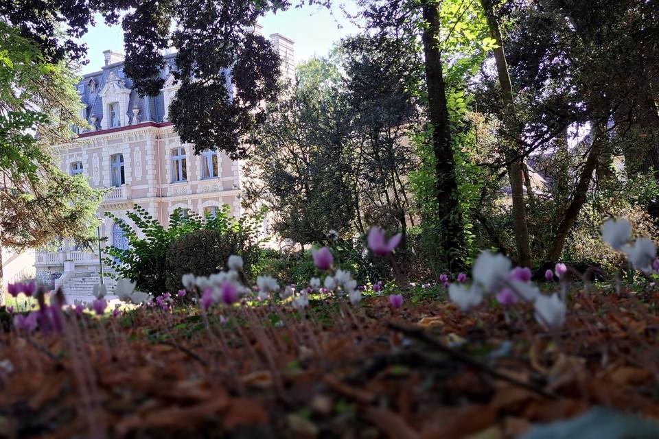 Vu du sous bois