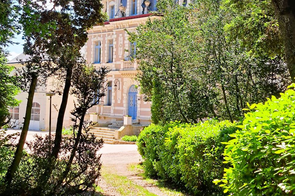 Vue du sous bois