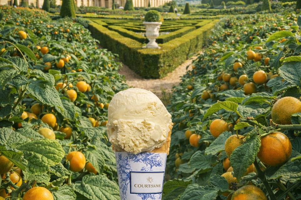 Cornet ou pots