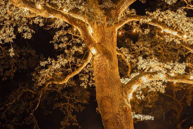 Nina Dulin Photography