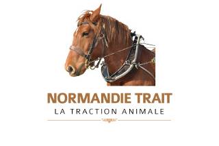 Normandie Trait logo