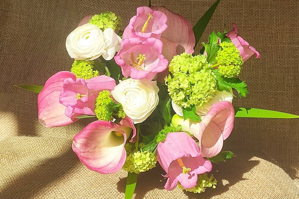 Rose, Fleurs et Plantes