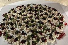 PAVLOVA