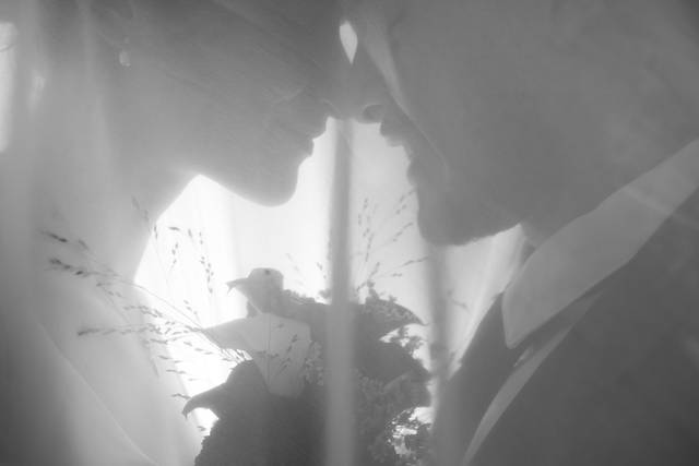 Mariés en contre jour