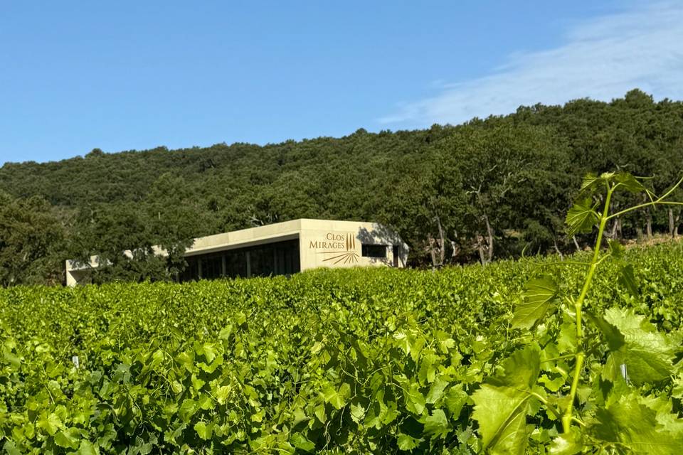 Le chai