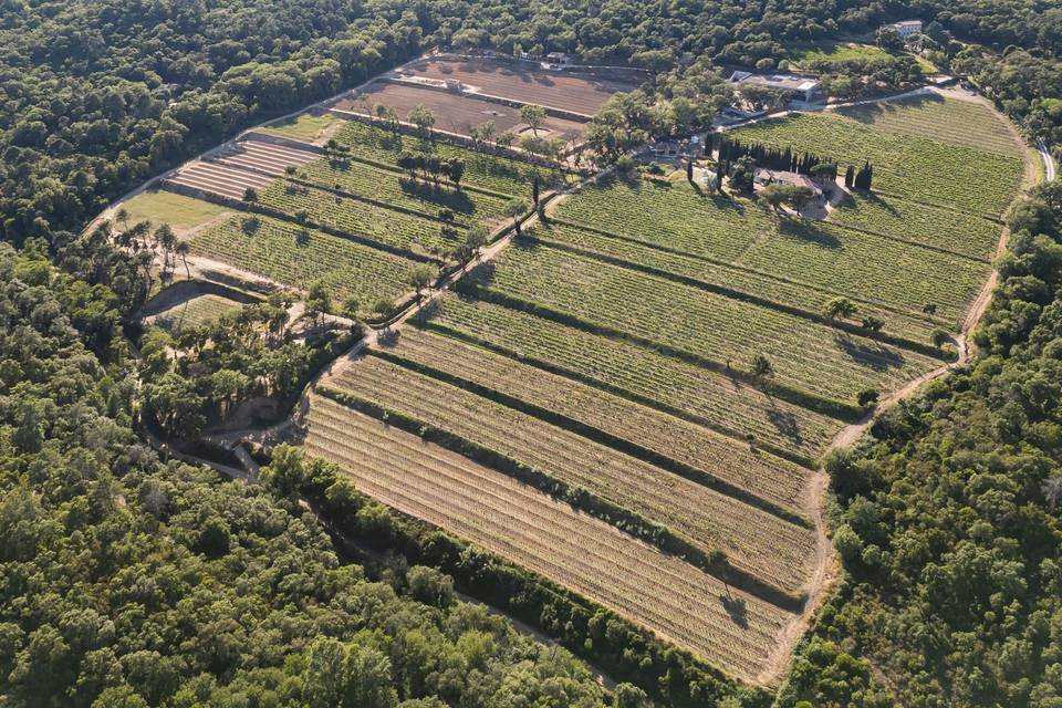 Vue du vignoble