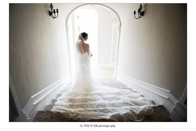 David Page Photography