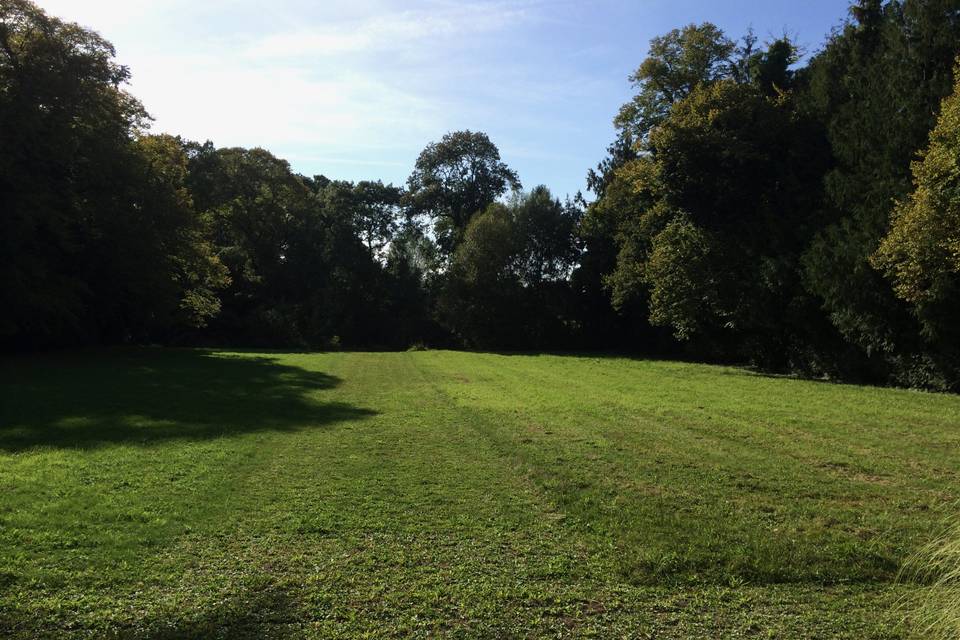 Parc dans son ensemble