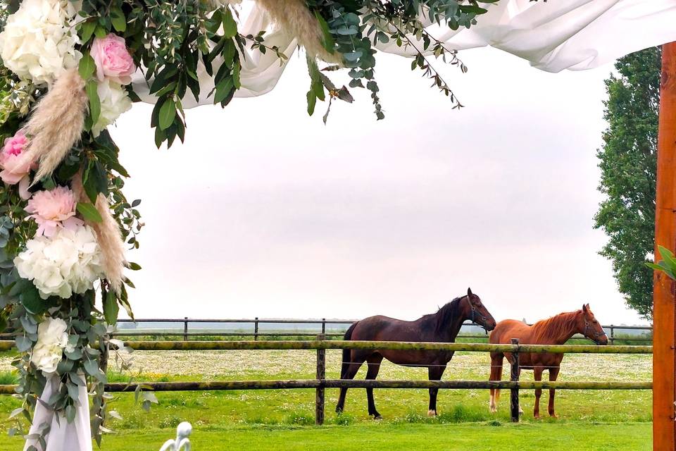 Les chevaux