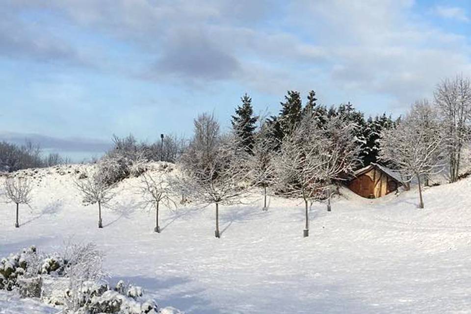 Le parc enneigé