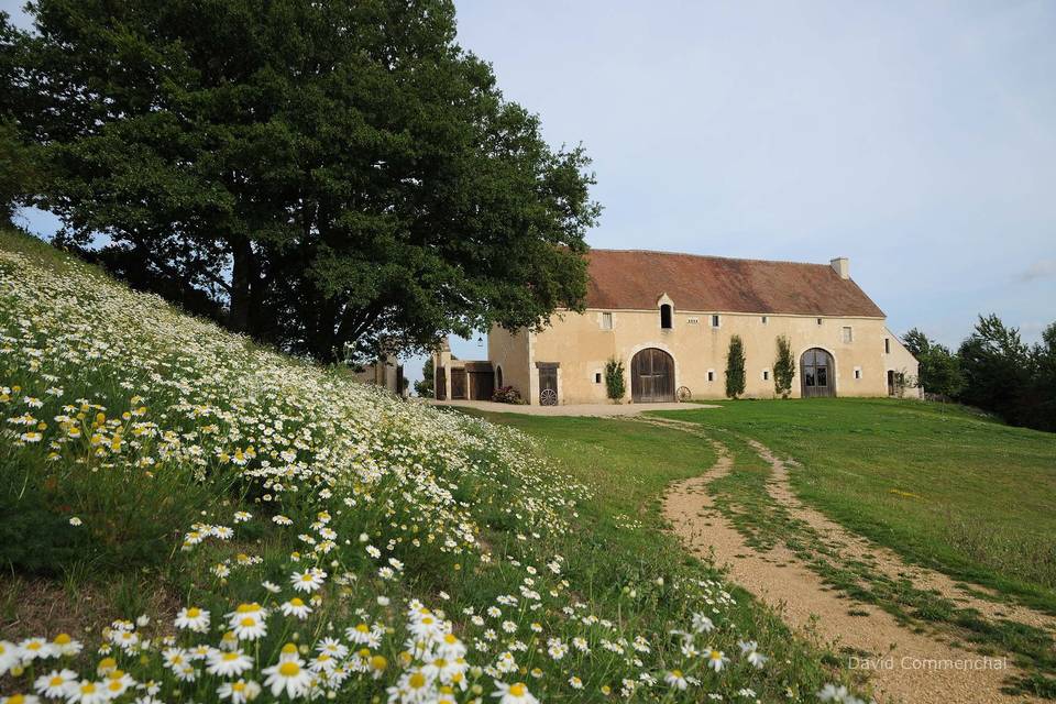 Extérieur fleuri
