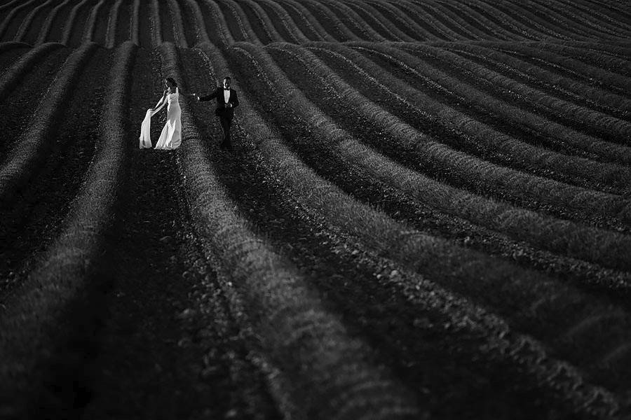 Champs de lavande à valensole