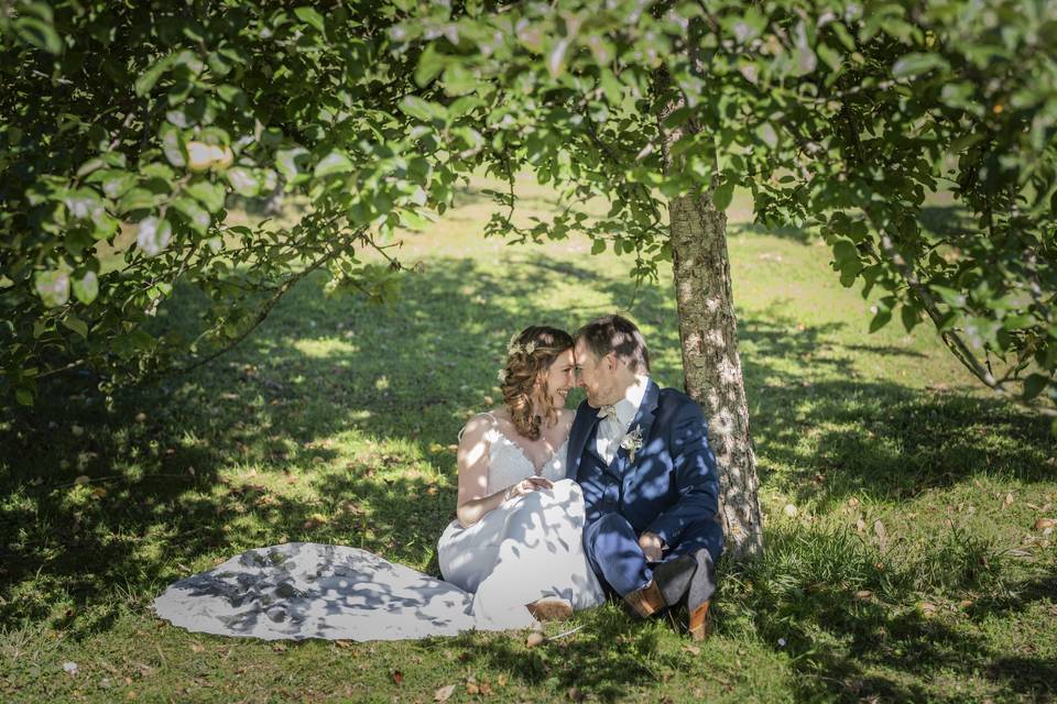 Couple sous l'arbre