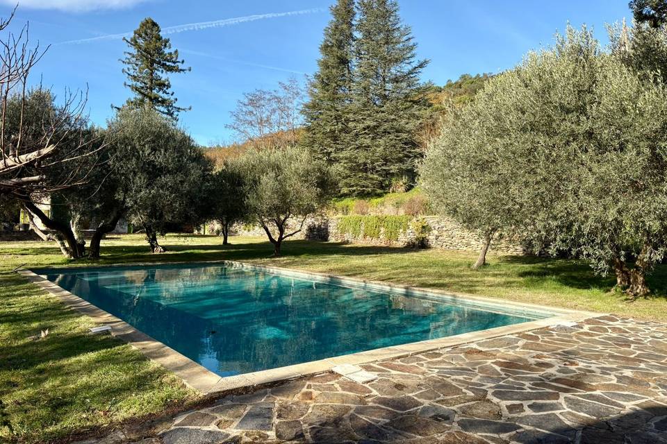 La piscine