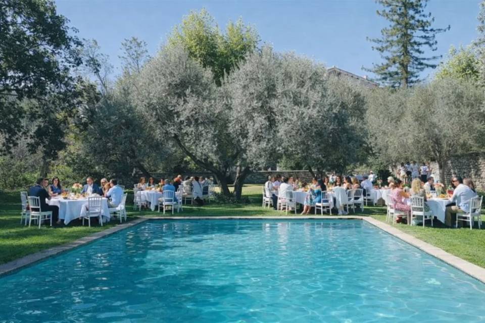 Le brunch autour de la piscine