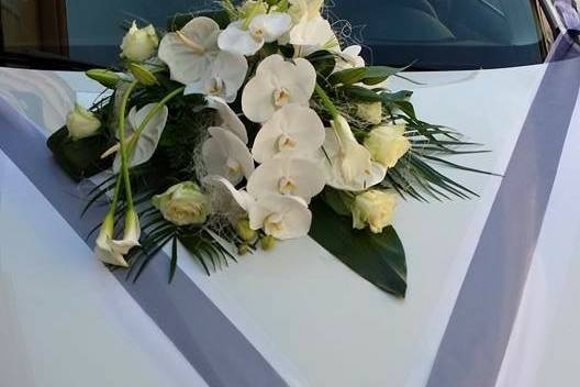 Voiture