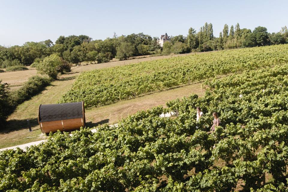 Mariage dans les vignes